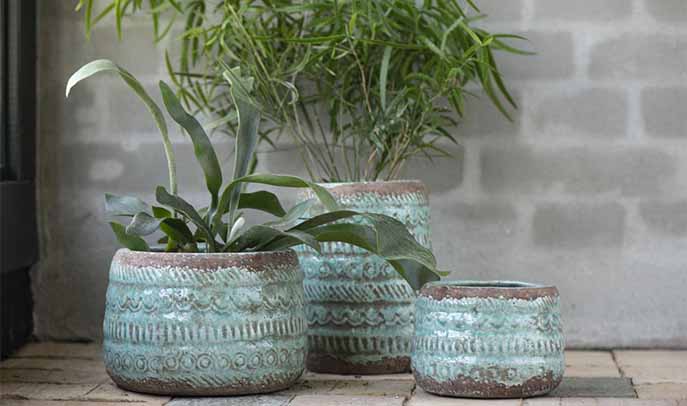 Attractive turquoise pots with green plants to purify the air 