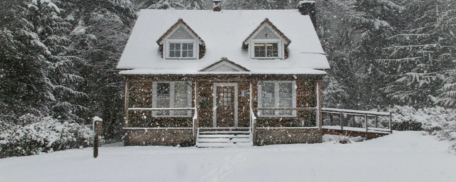 How to Prepare your House for Winter  image