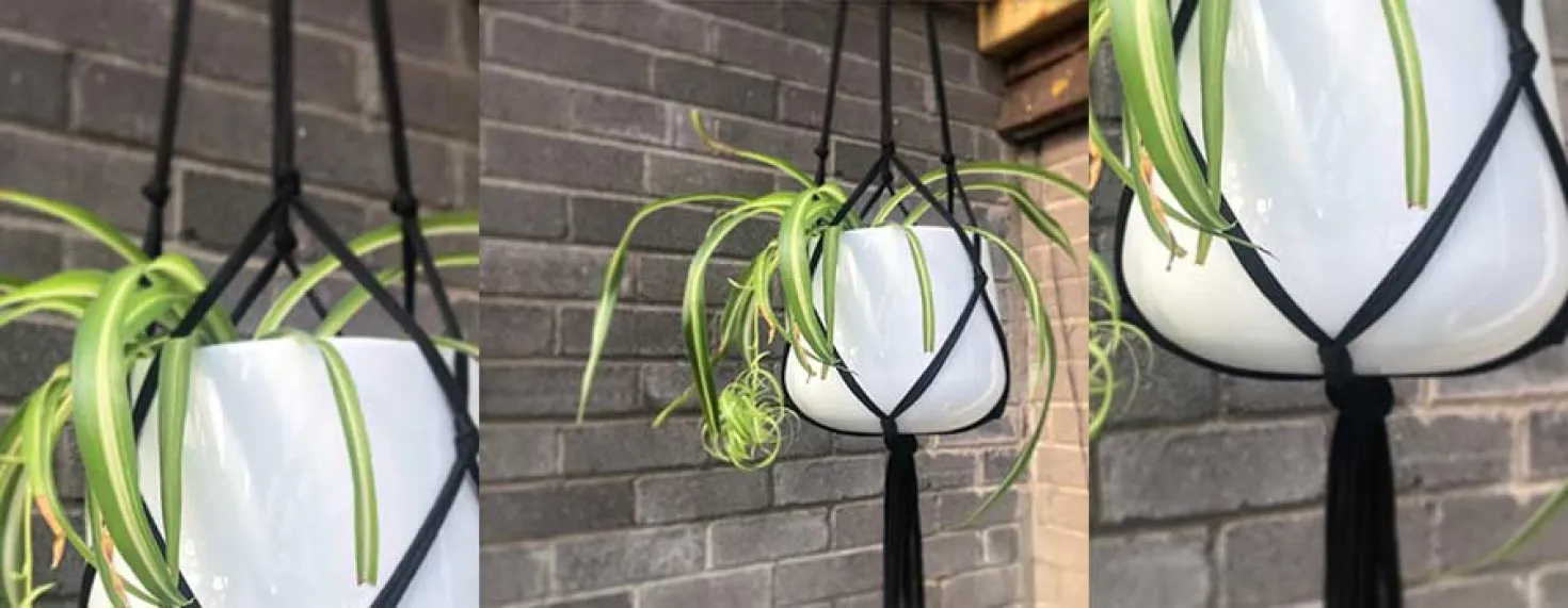 How to Make a Hanging Planter image