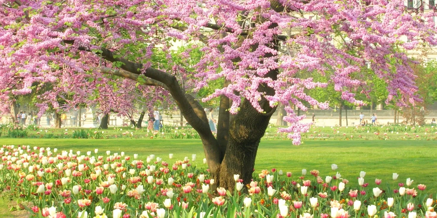 Does Your Home Need a Spring Refresh? image