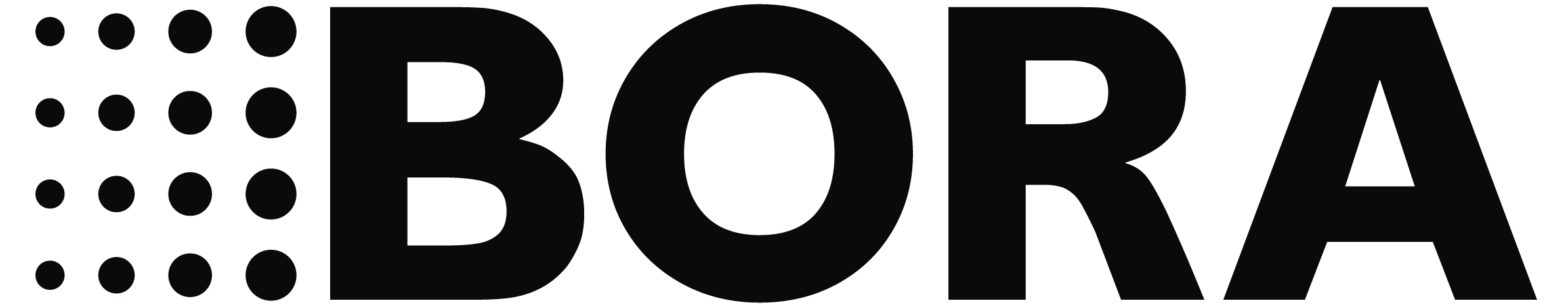 Bora Appliances logo