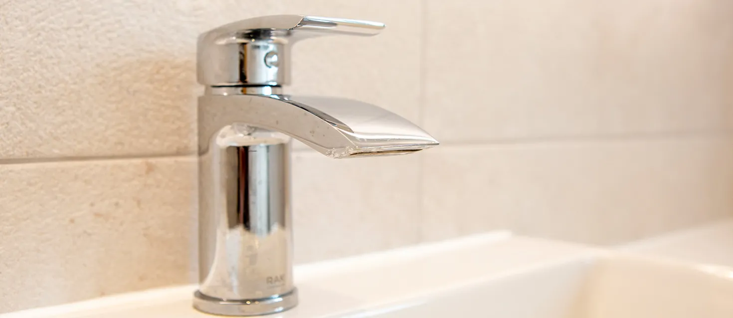 Trending Neutral Palette Bathroom image