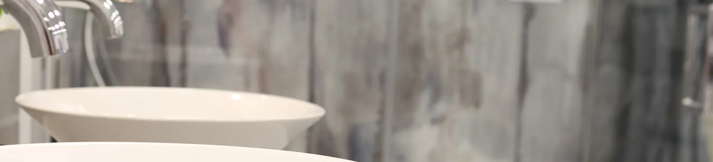 Basins and Sinks Buying Guide image