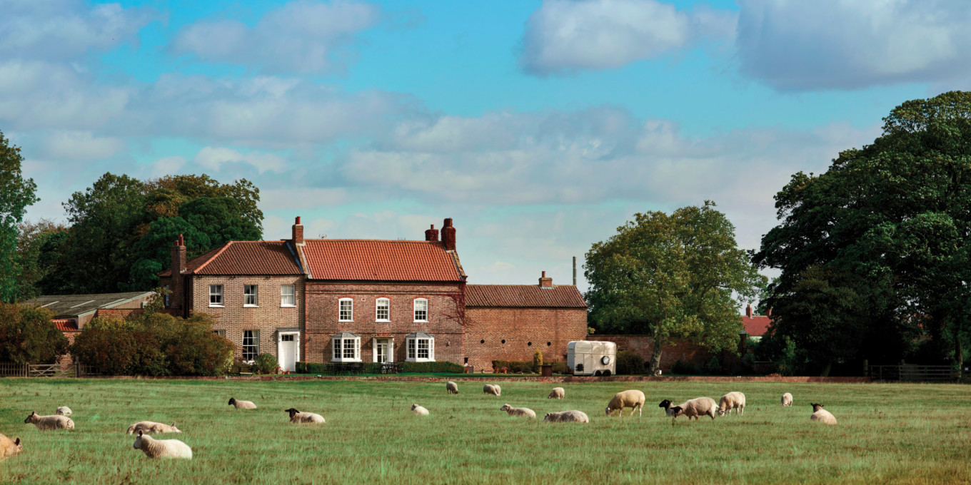 Sheep in Field in front of House