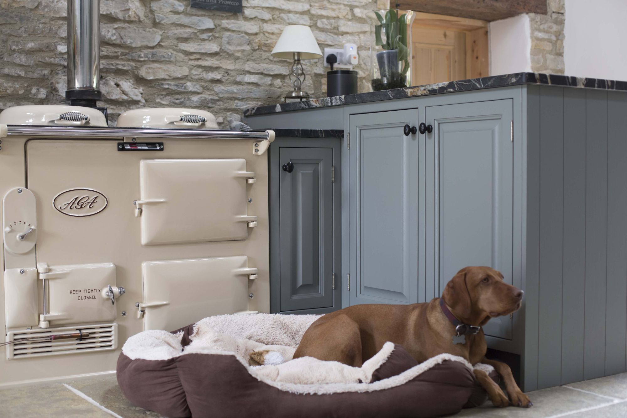 Ruby the dog beside the Aga in the fitted kitchen by Gardiner Haskins