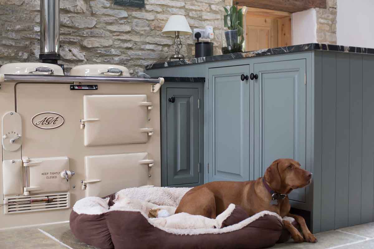 Kitchen Case Study: Cream Aga with Eva the dog sitting beside it 