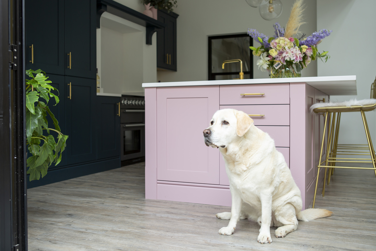 Labrador in a beautiful Stoneham Kitchen with a dusky pink kitchen island