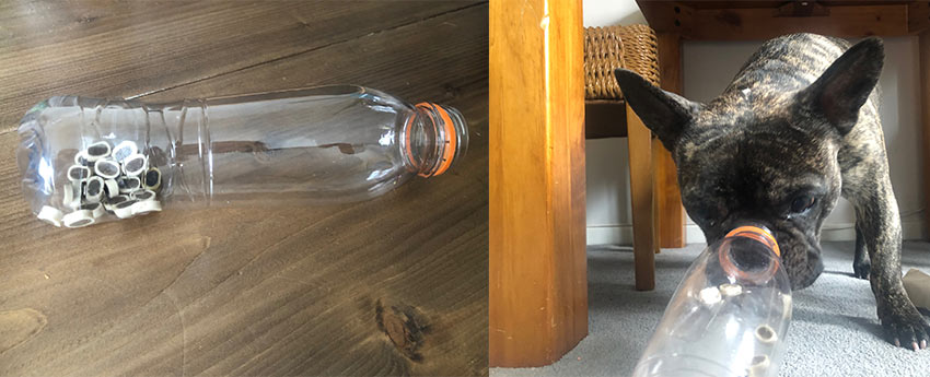 homemade dog toy puzzle with water bottle and treats